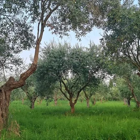 Appartamento Fattoria Il Giardo