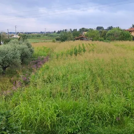 Fattoria Il Giardo * Pietrasanta