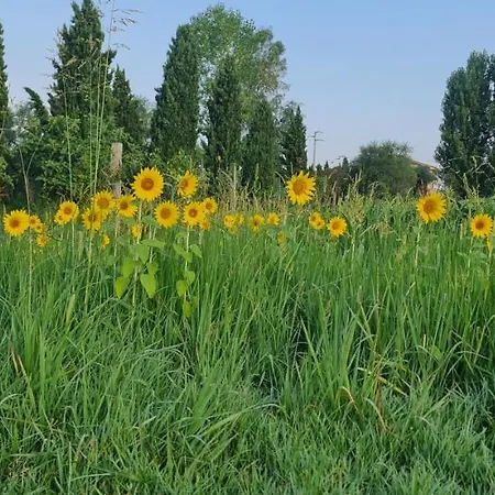 Fattoria Il Giardo Appartamento Pietrasanta