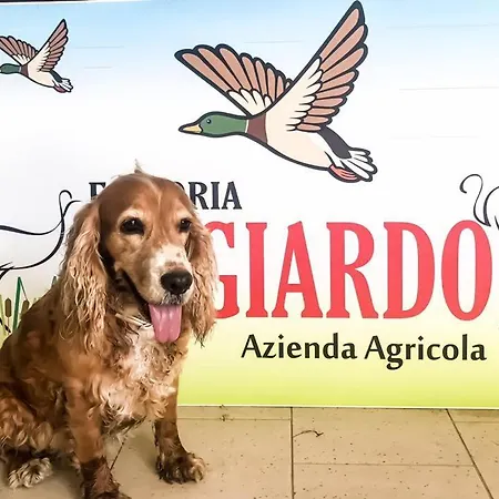 Fattoria Il Giardo Apartment *