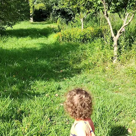 Appartamento Fattoria Il Giardo
