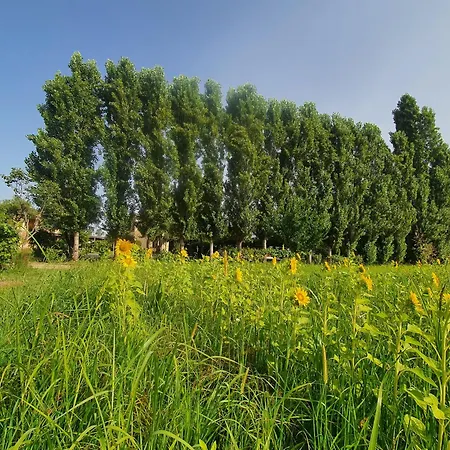 Fattoria Il Giardo Appartamento *