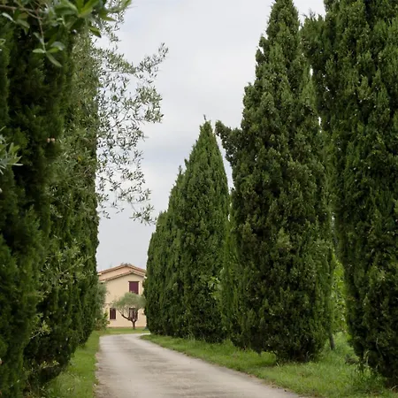 Fattoria Il Giardo Apartment Pietrasanta
