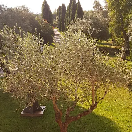 Fattoria Il Giardo Apartment Pietrasanta
