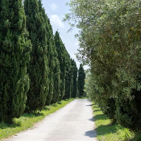 Fattoria Il Giardo * Pietrasanta